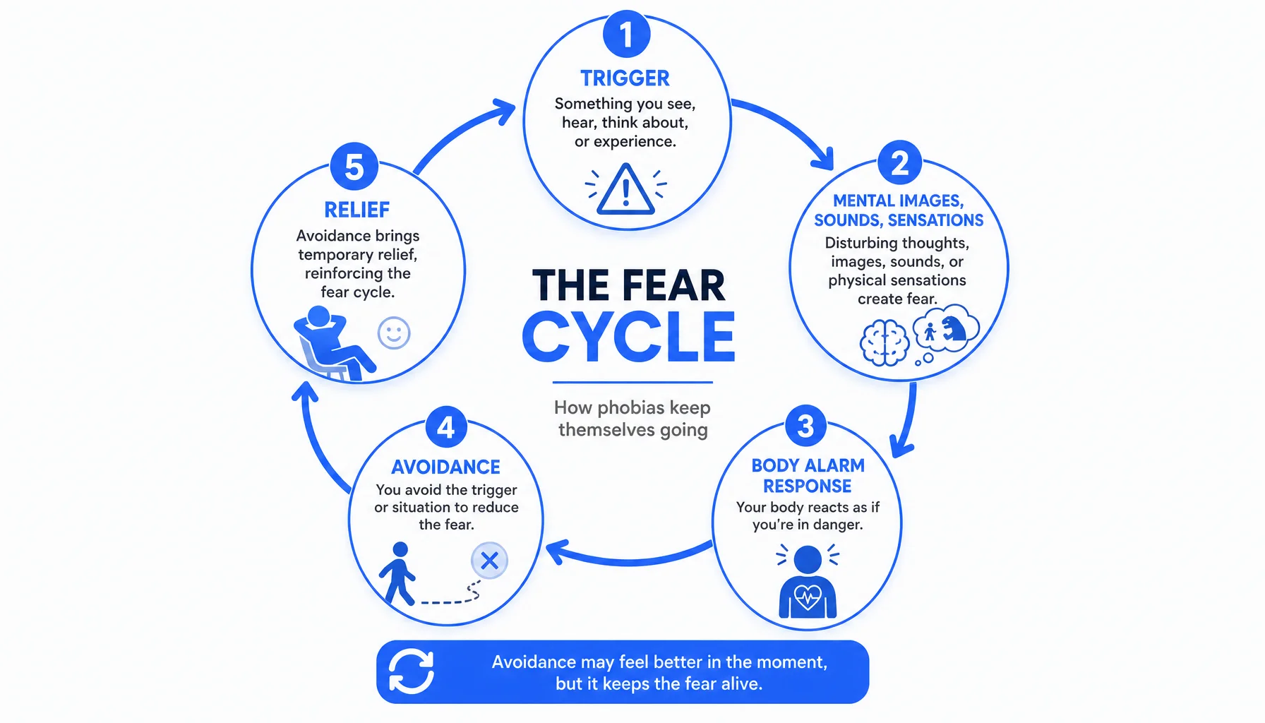 Infographic illustrating the fear cycle in phobia: trigger to relief, emphasizing understanding and treatment.